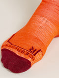 Men's Merino Hike+ Medium Crew Socks Sedimentary  - 3
