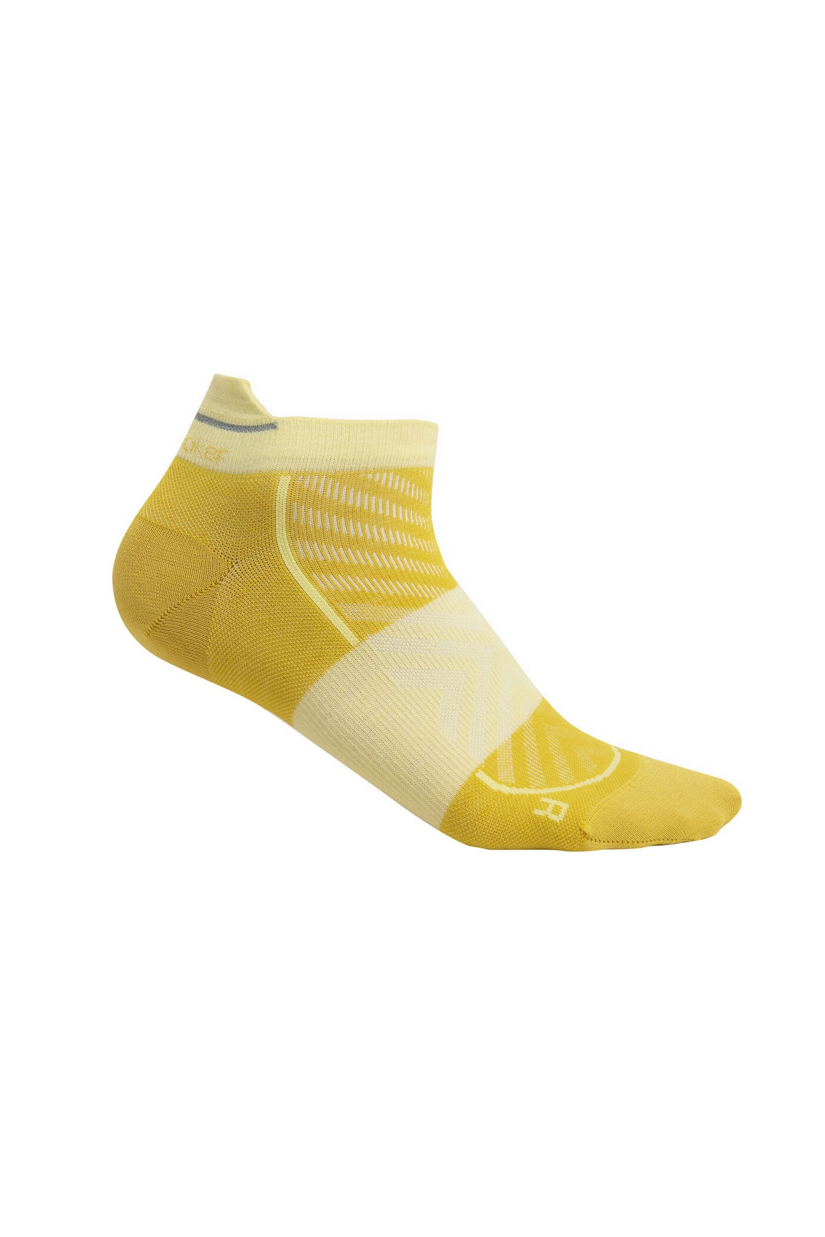 Women's Merino Run+ Ultralight Micro Socks Lux/Lucid - 3