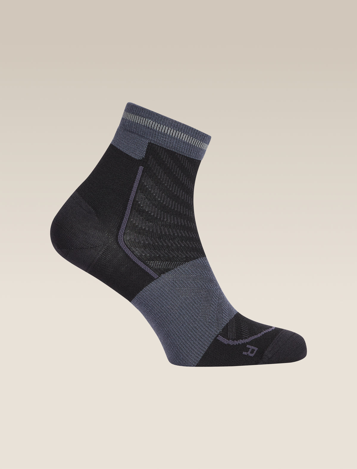Women's Merino Blend Run+ Ultralight Mini Socks Black/Graphite - 5