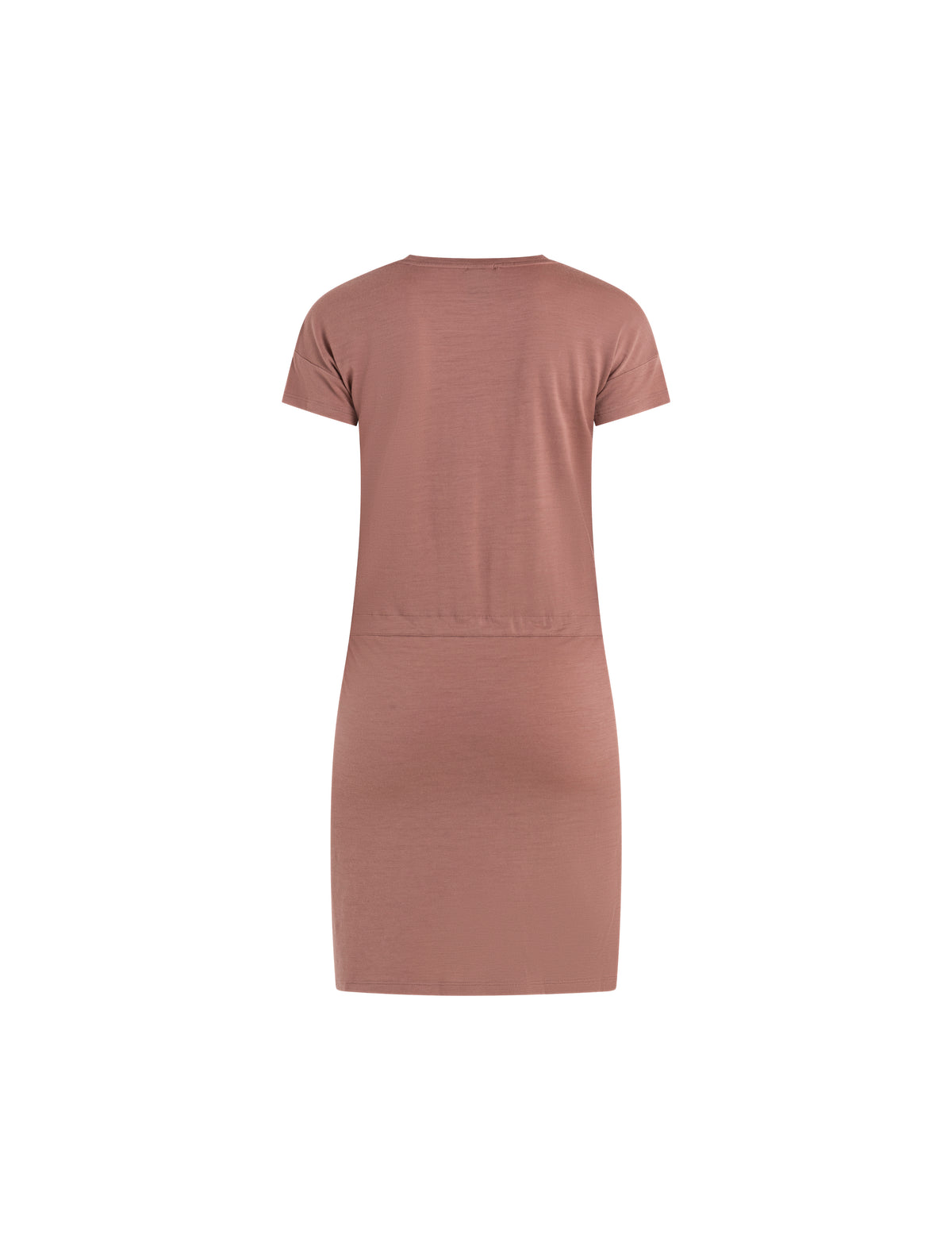 Women's Merino 200 The North Face x icebreaker Dress Burlwood - 5