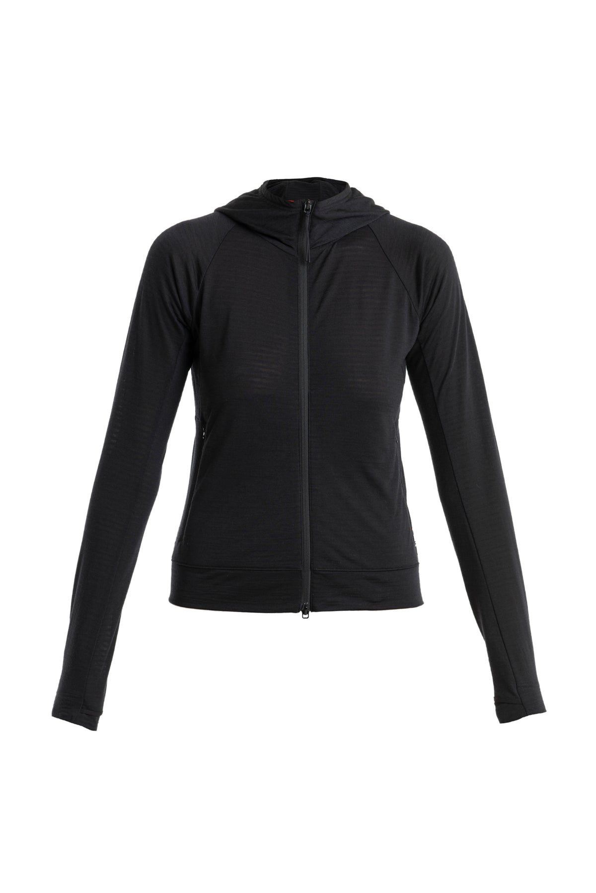 Women's Merino Blend 200 Realfleece™ The North Face x icebreaker Long Sleeve Zip Hoodie  - 9