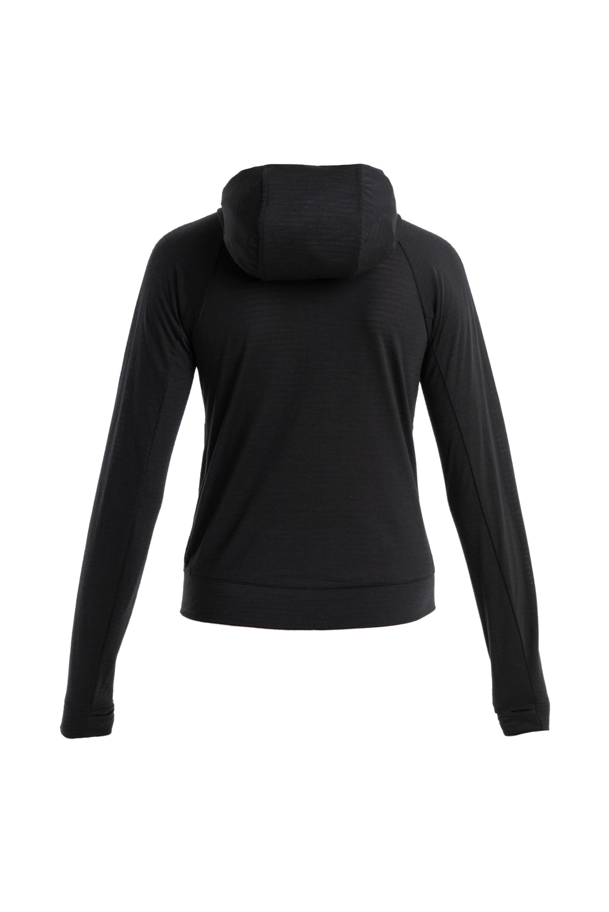 Women's Merino Blend 200 Realfleece™ The North Face x icebreaker Long Sleeve Zip Hoodie  - 10
