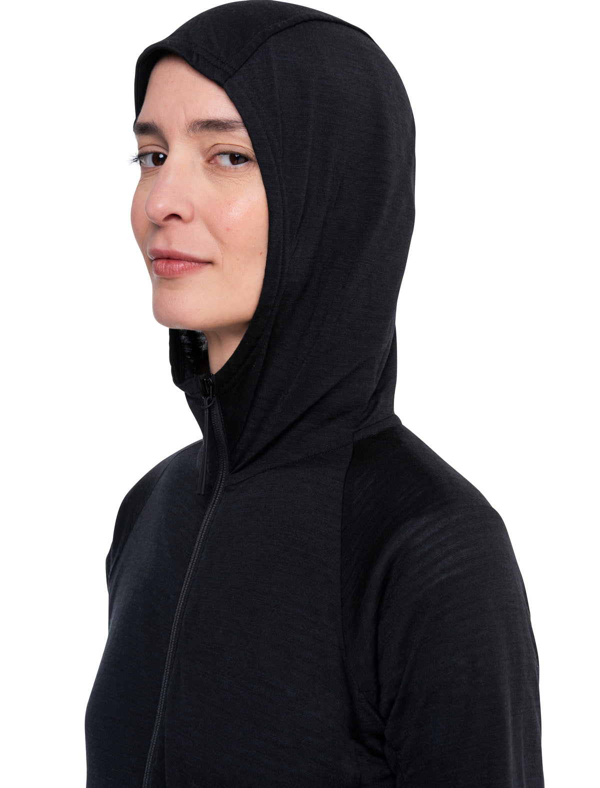Women's Merino Blend 200 Realfleece™ The North Face x icebreaker Long Sleeve Zip Hoodie  - 8