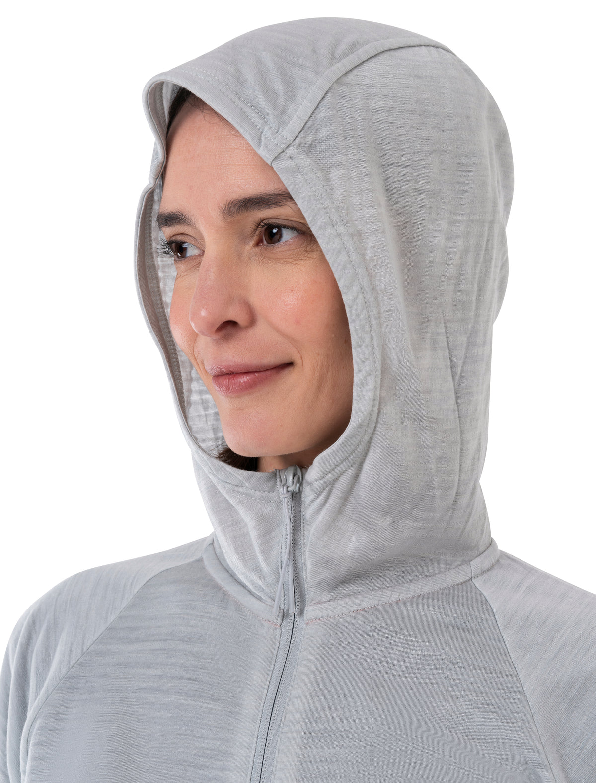 Women's Merino Blend 200 Realfleece™ The North Face x icebreaker Long Sleeve Zip Hoodie  - 6