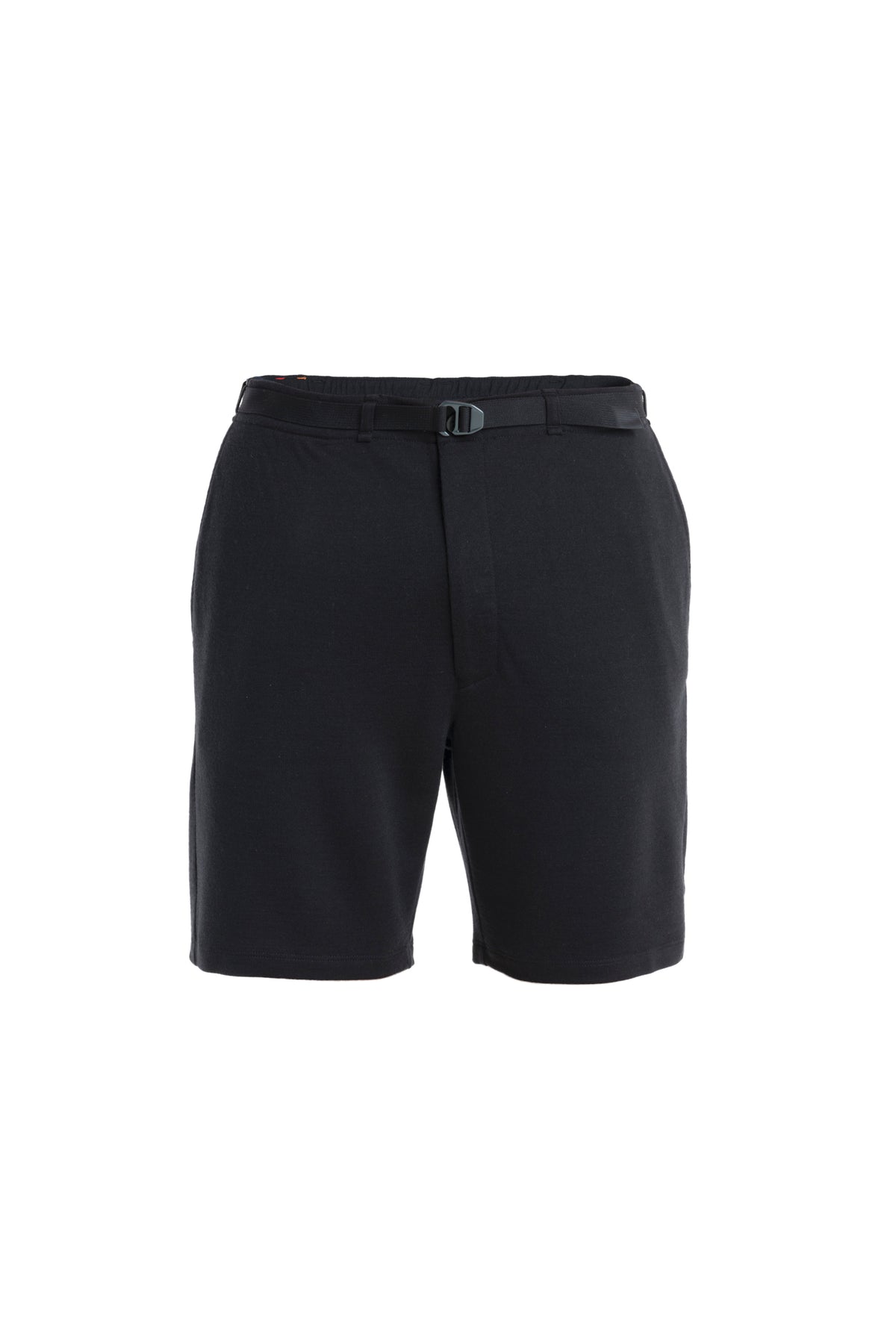 Men's Merino Blend The North Face x icebreaker Shorts  - 4