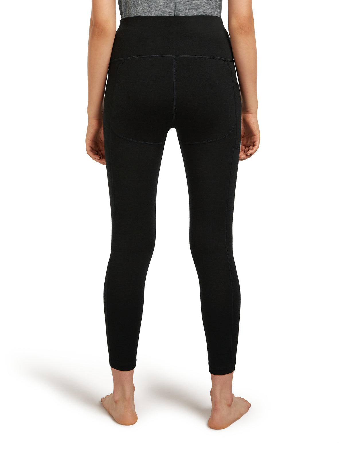 Women's Merino 260 Fastray 25" High Rise Tights  - 2