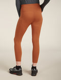 Women's Merino 260 Fastray 25" High Rise Tights  - 2