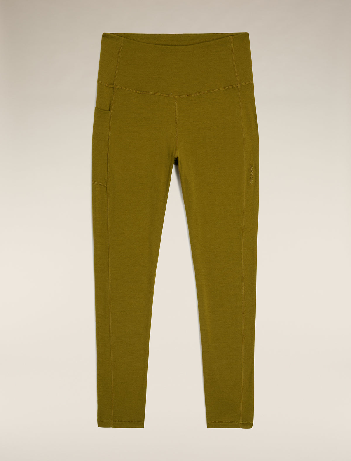 Women's Merino 260 Fastray 25" High Rise Tights  - 2