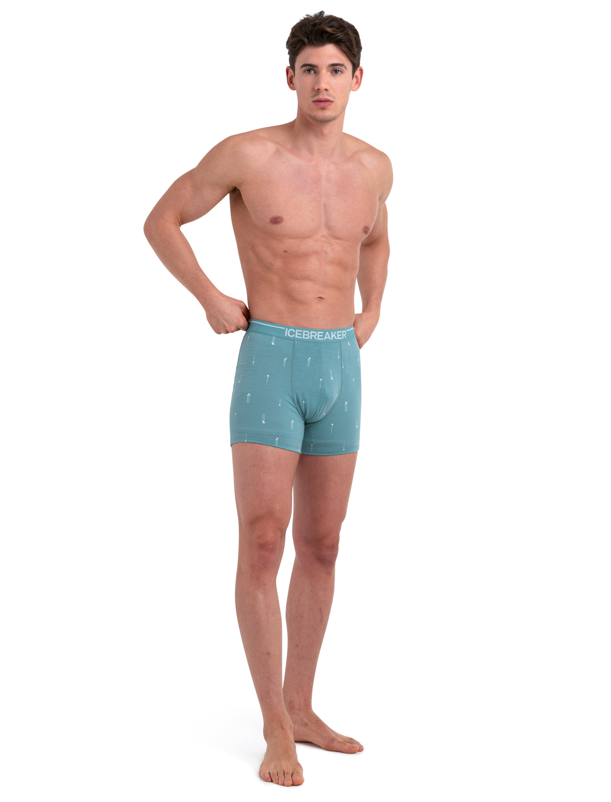 Men's Merino Anatomica Boxers Palm Trail  - 3