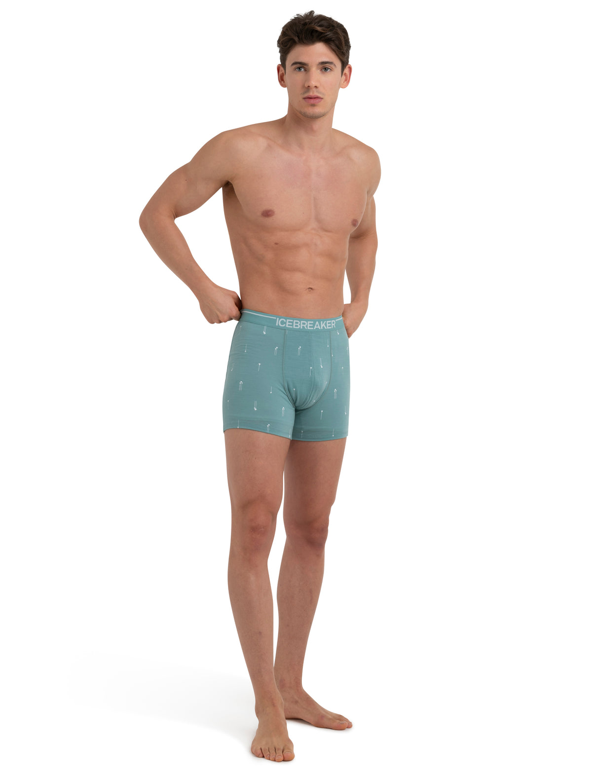 Men's Merino Anatomica Boxers Palm Trail  - 4