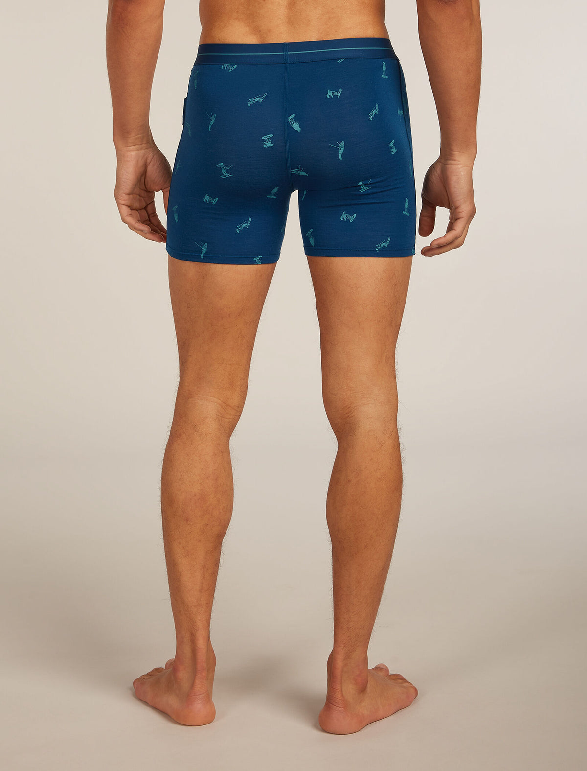 Men's Merino 150 Anatomica Boxers Ski Day Atlantis/Topaz - 2