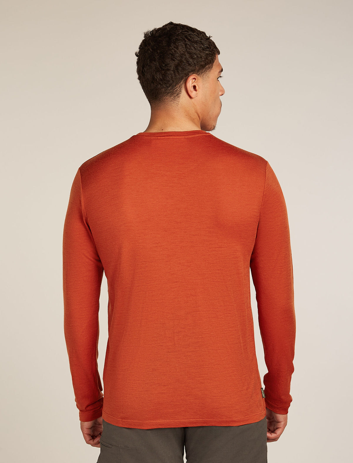 Men's Merino 150 Tech Lite Long Sleeve T-Shirt Rainer Ridge Agate - 2