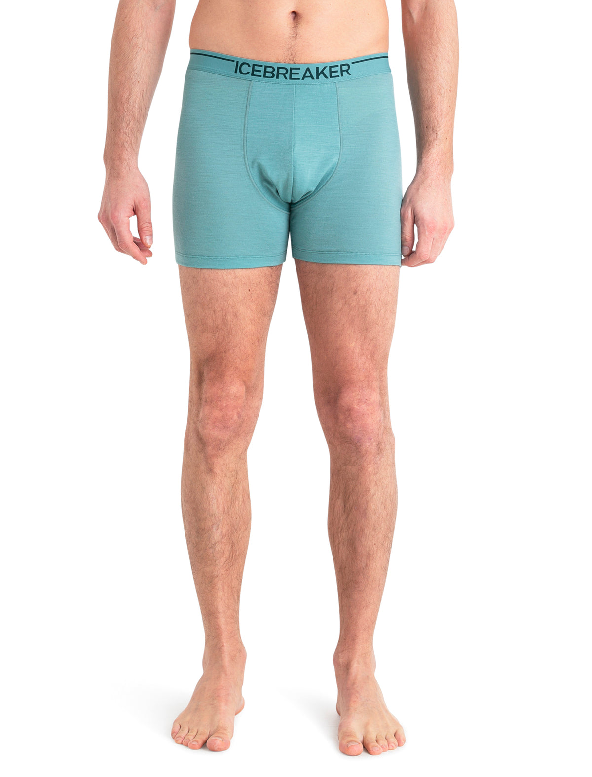 Men's Merino 150 Anatomica Boxers  - 1