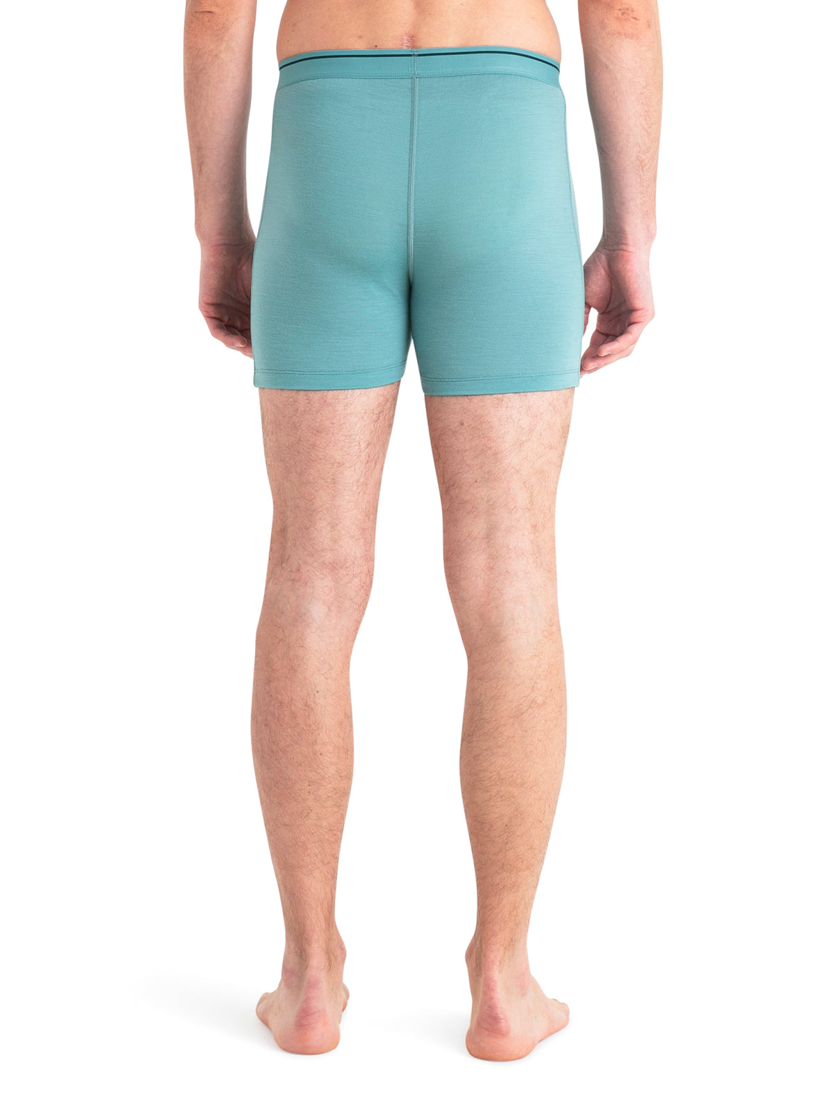 Men's Merino 150 Anatomica Boxers  - 2