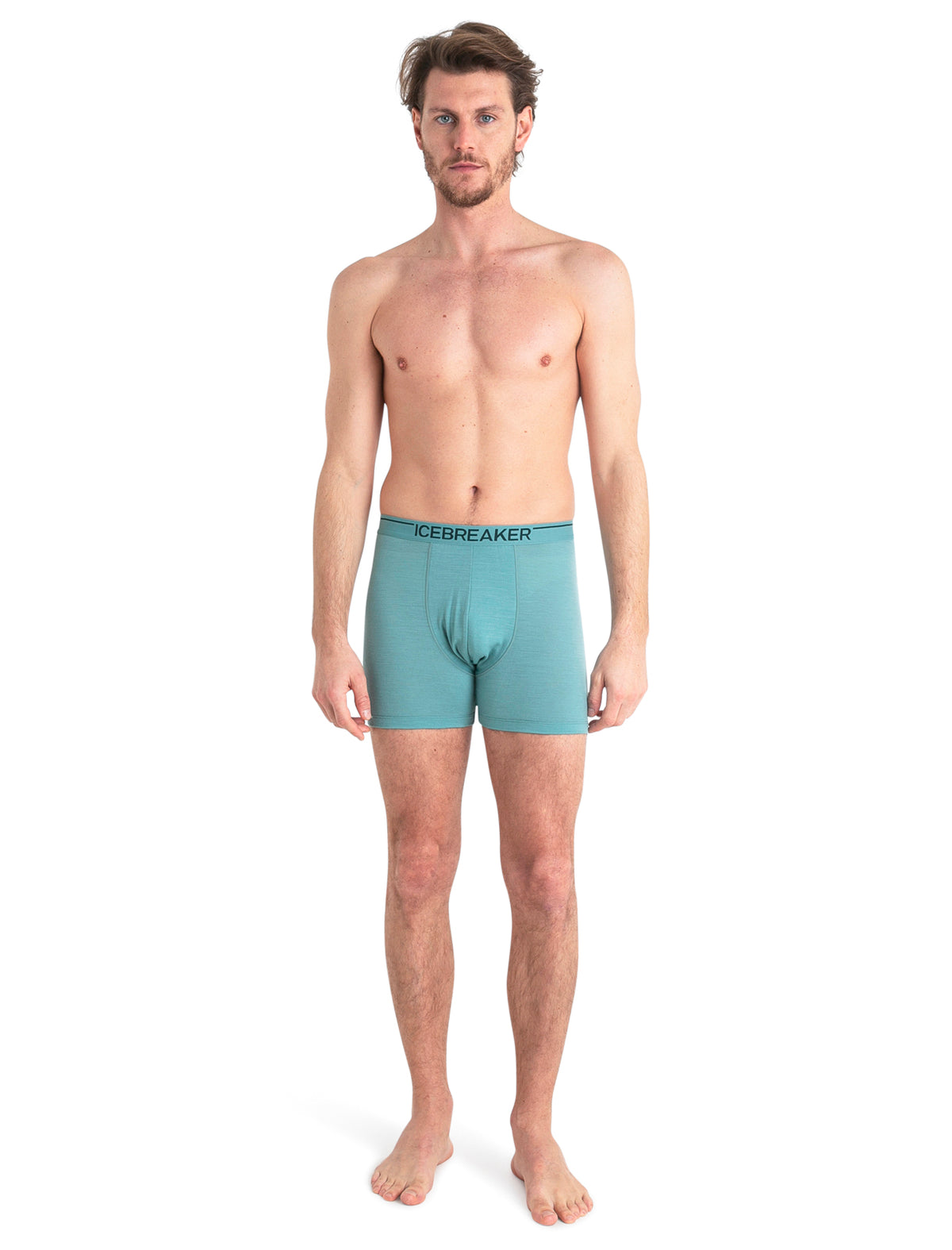 Men's Merino 150 Anatomica Boxers  - 3