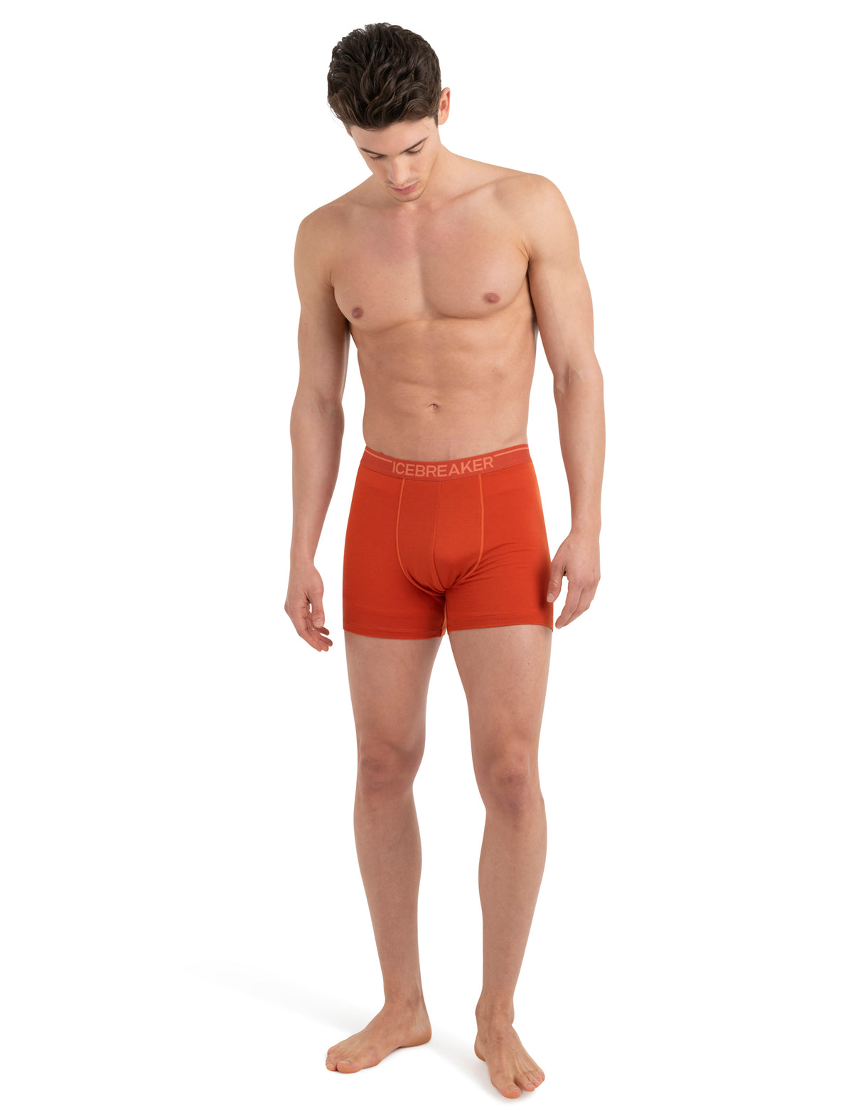 Men's Merino 150 Anatomica Boxers  - 4