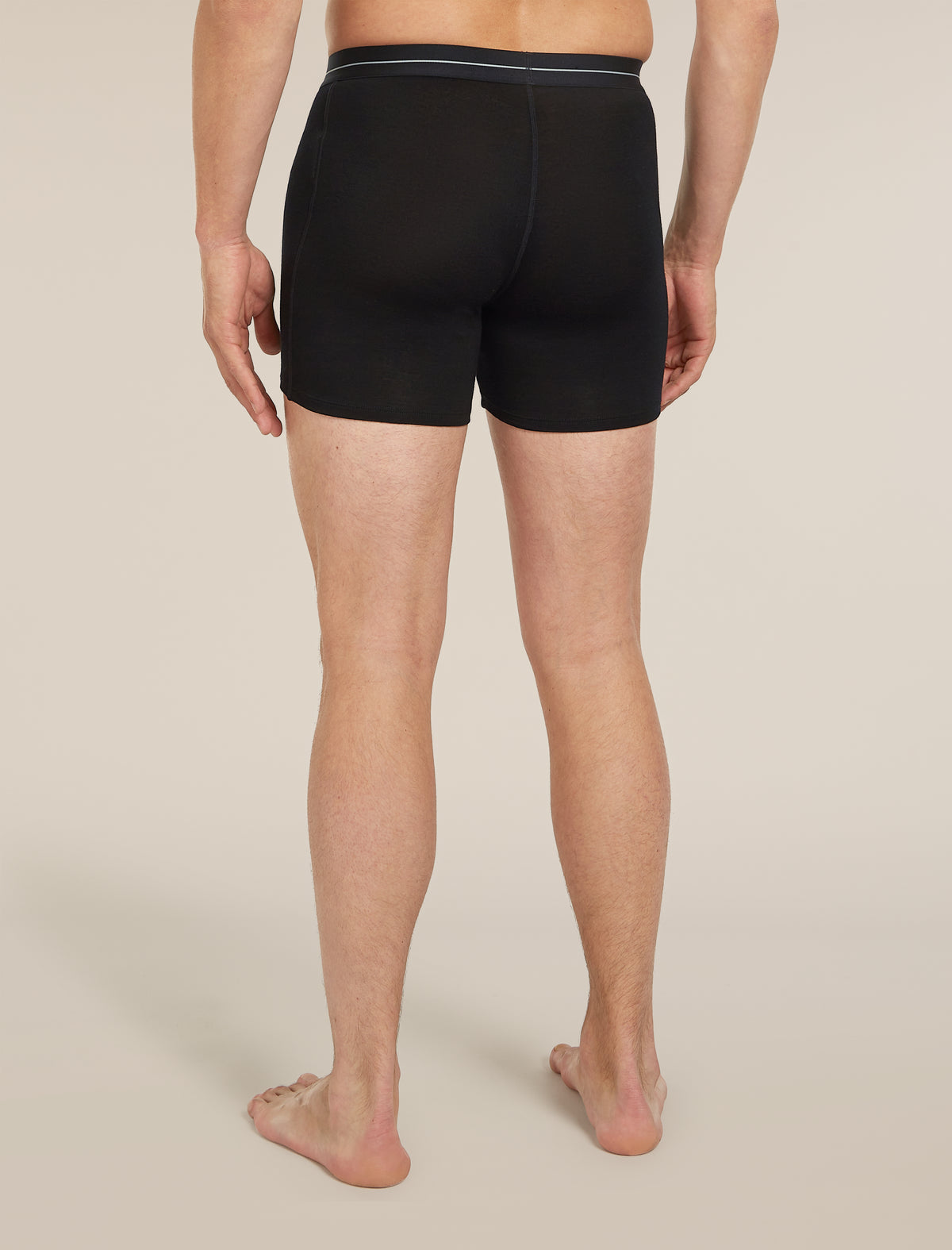Men's Merino 150 Anatomica Boxers wFly  - 2