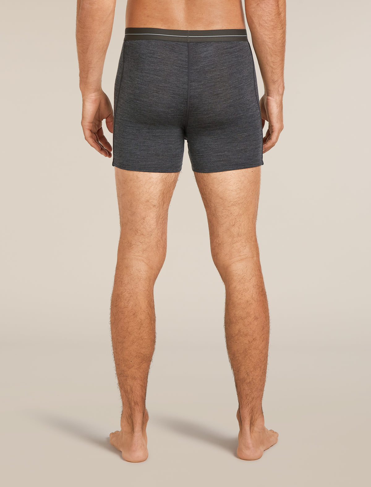 Men's Merino 150 Anatomica Boxers wFly  - 2