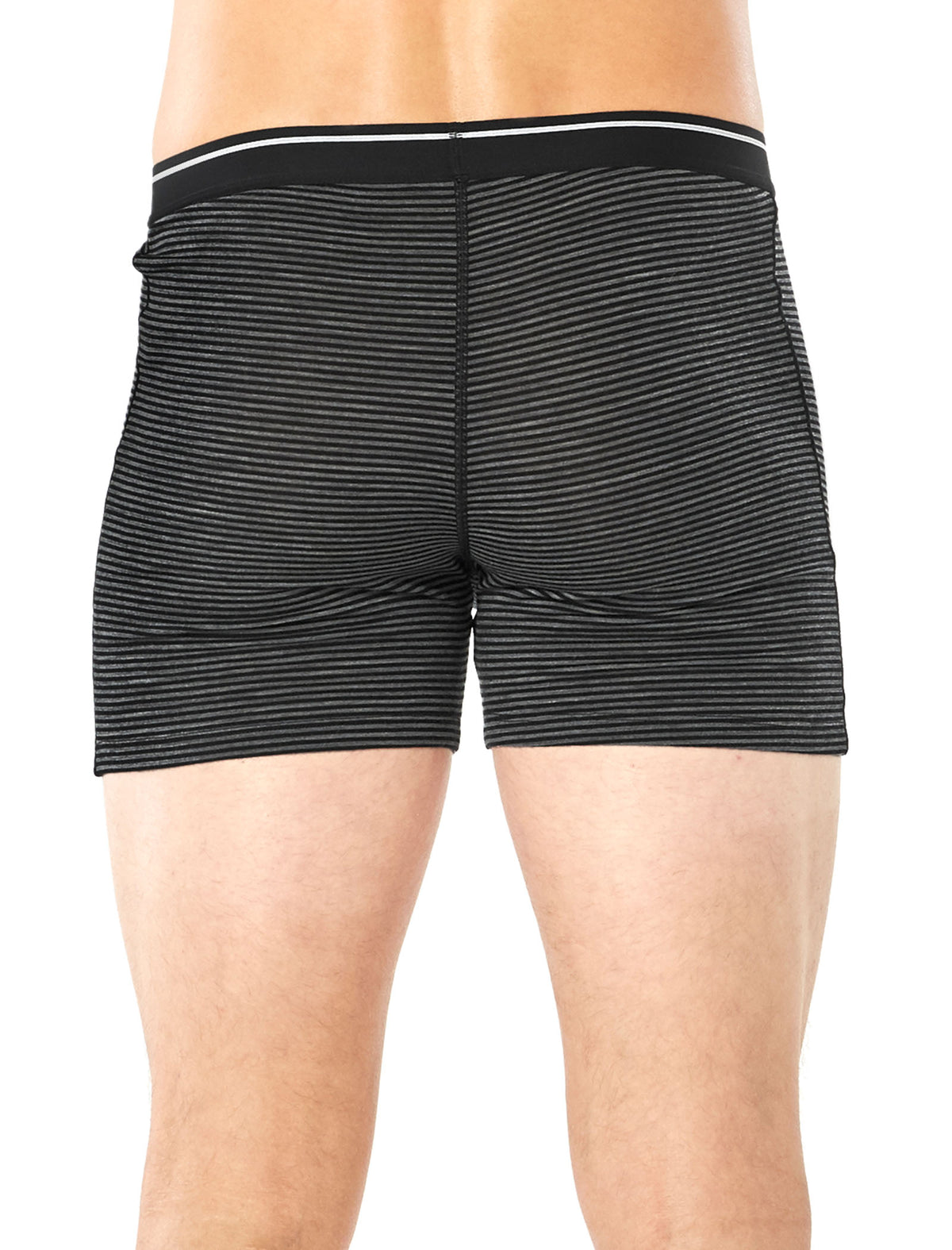 Men's Merino 150 Anatomica Boxers wFly  - 3
