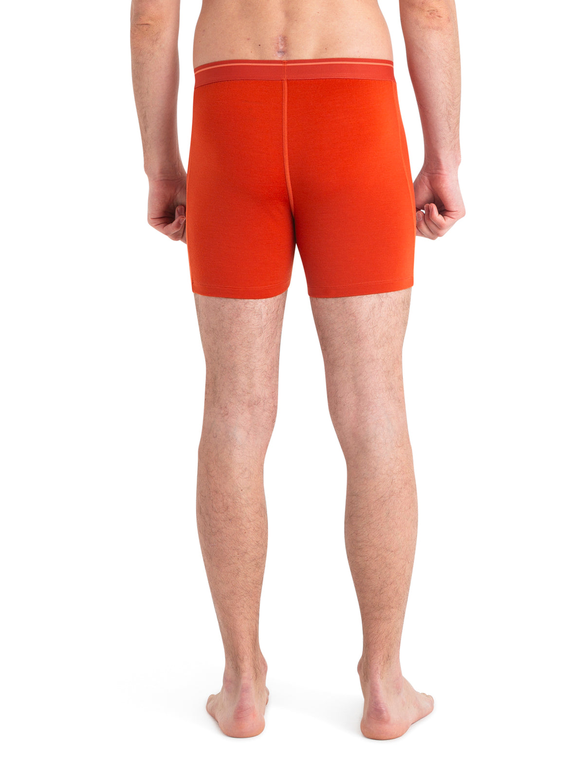 Men's Merino 150 Anatomica Boxers wFly  - 2