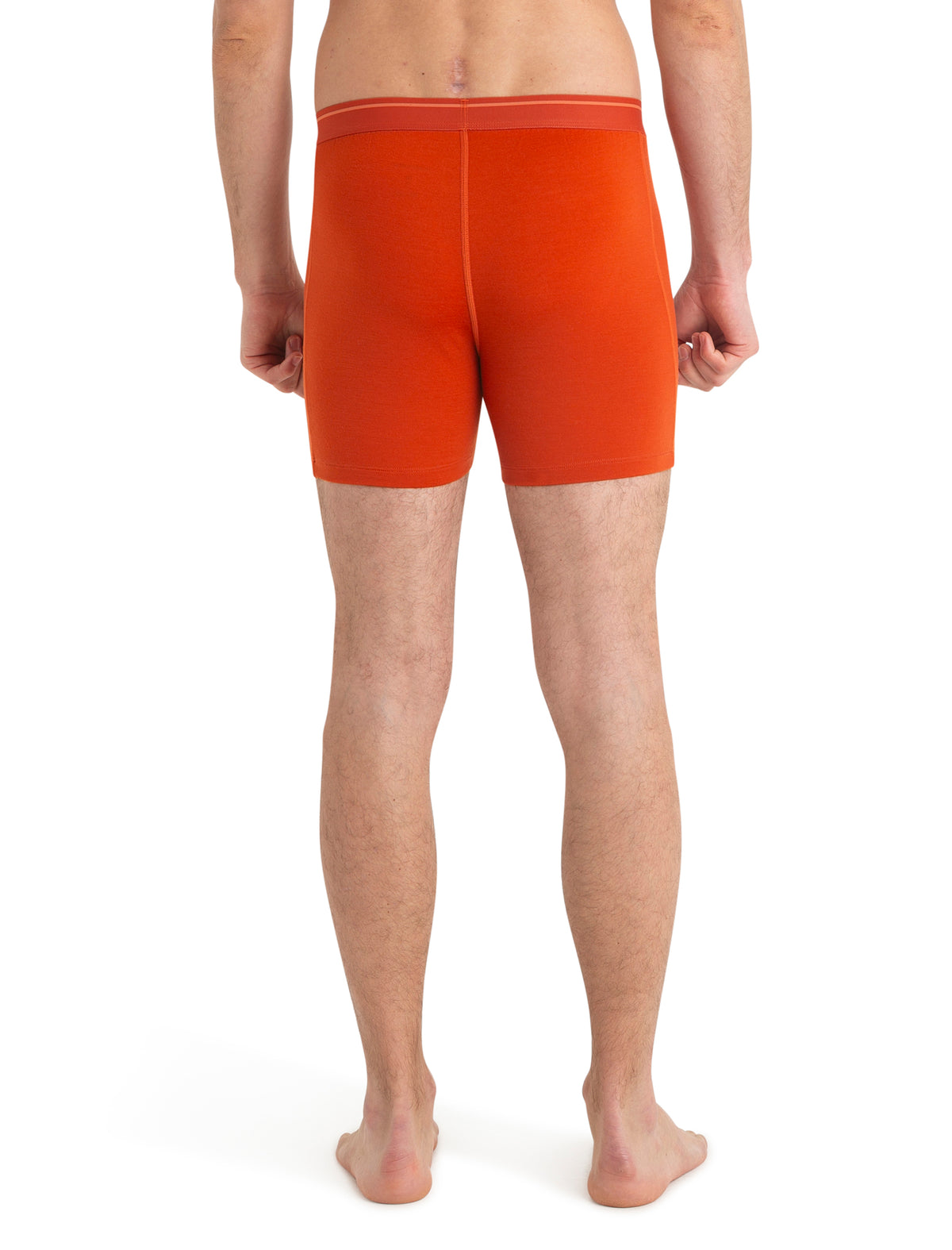 Men's Merino 150 Anatomica Boxers wFly  - 5