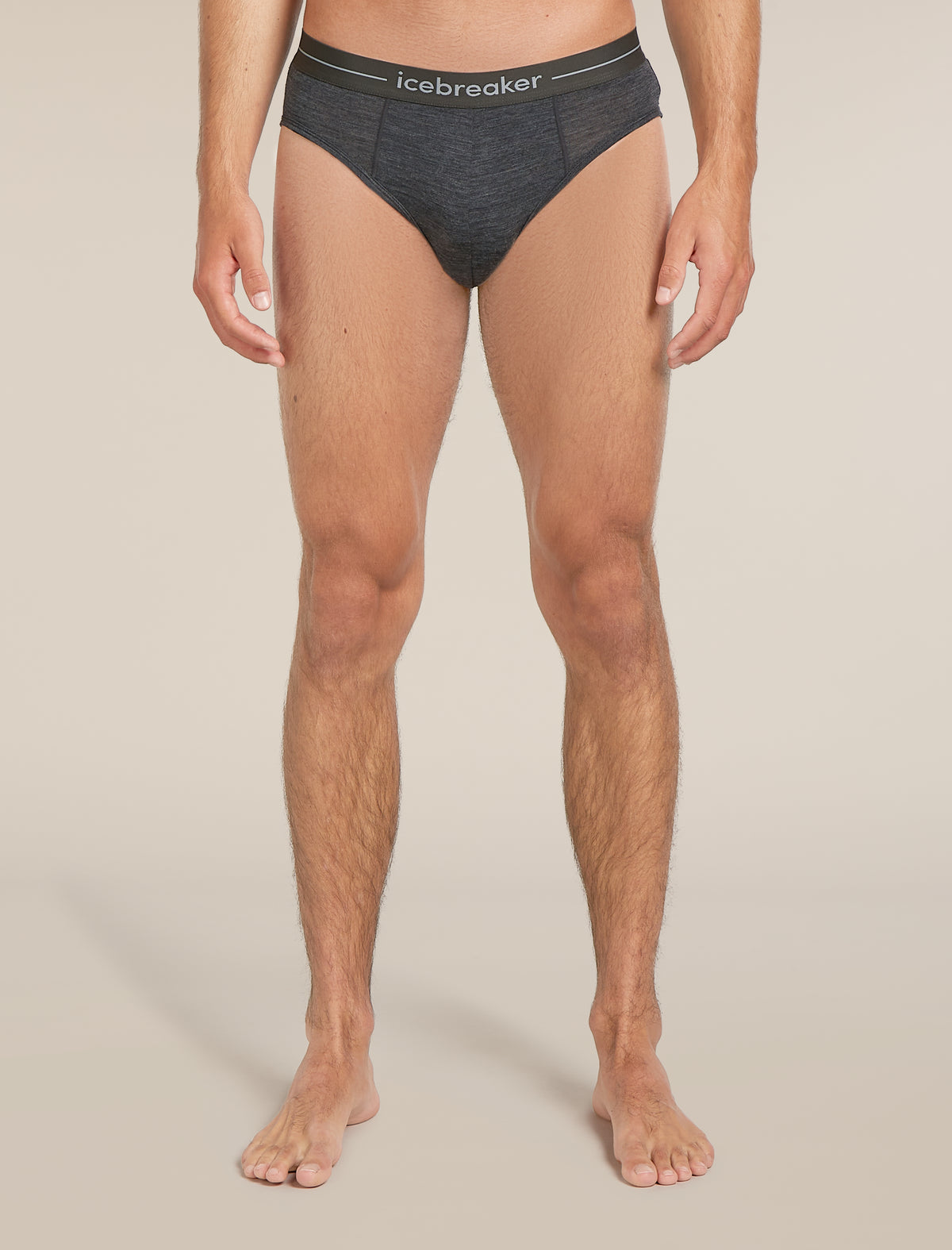 Men's Merino 150 Anatomica Briefs Jet Heather - 1