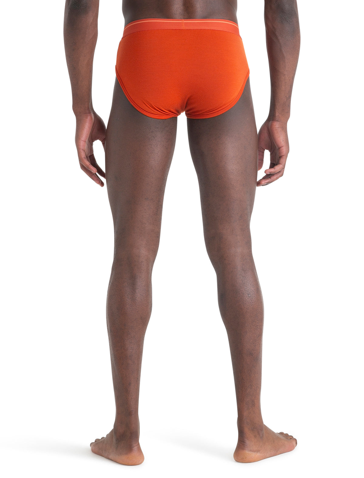 Men's Merino 150 Anatomica Briefs  - 2