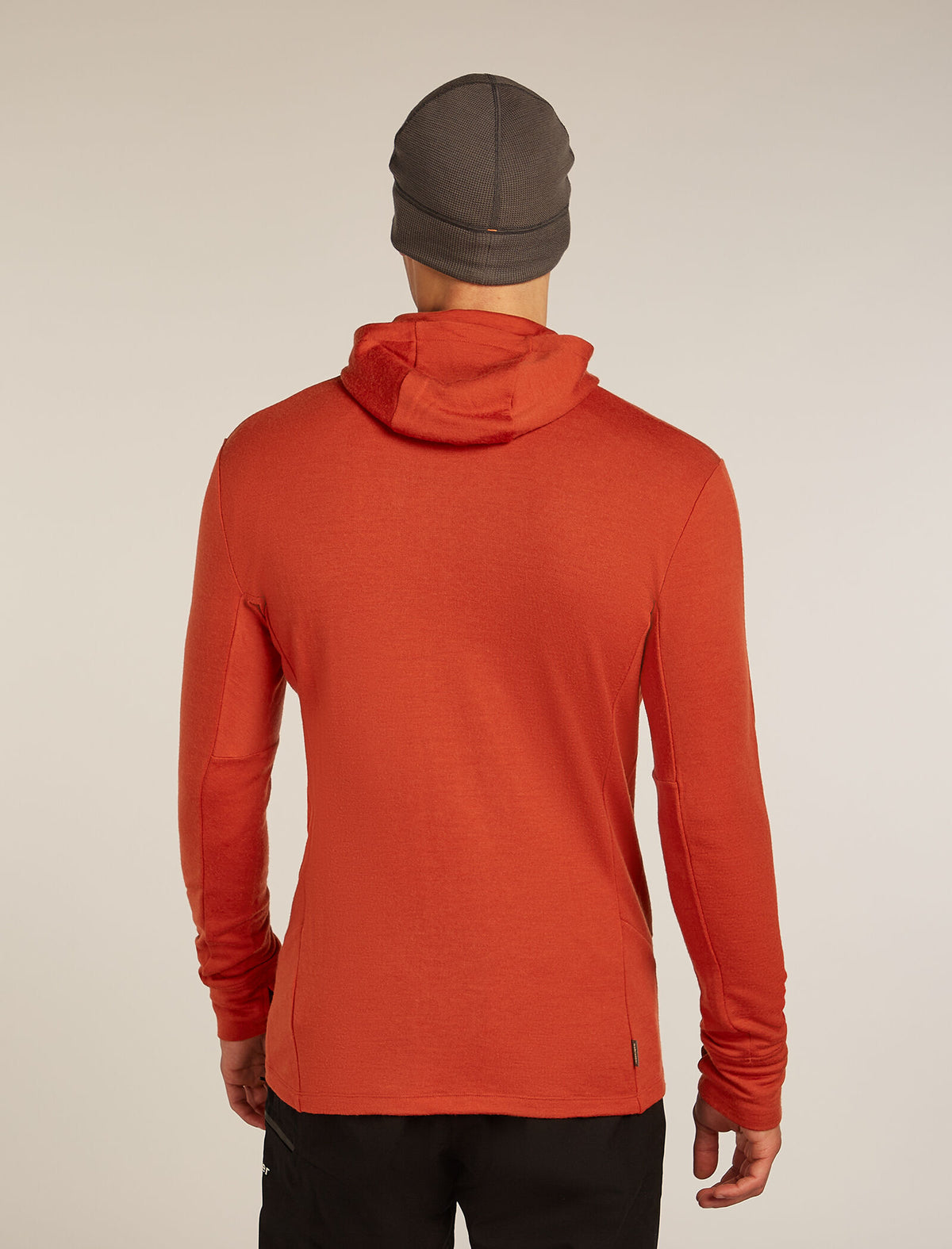 Men's Merino 260 Quantum Long Sleeve Zip Hoodie Agate - 2